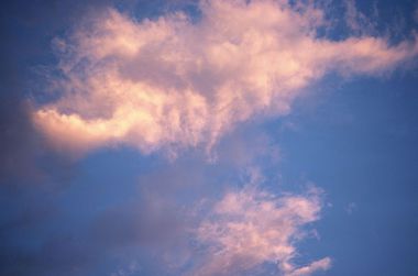  photo 2924